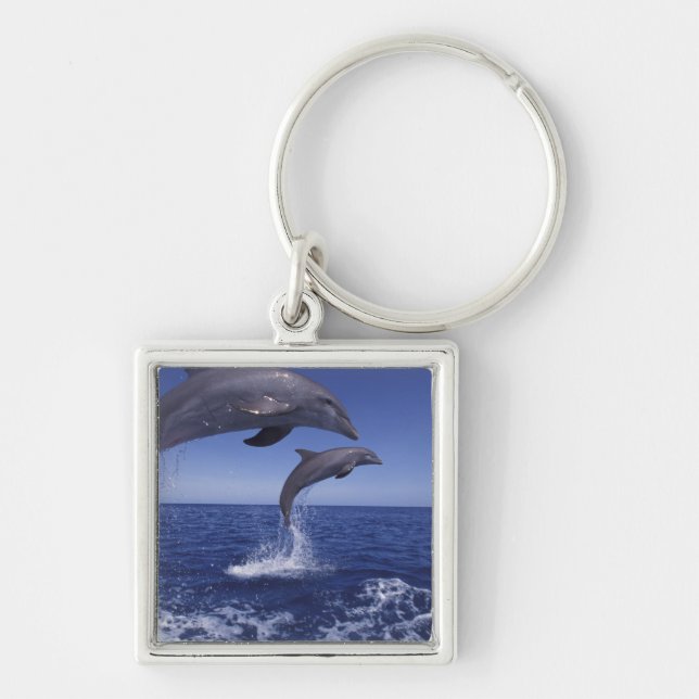 Caribbean, Bottlenose dolphins Key Ring (Front)