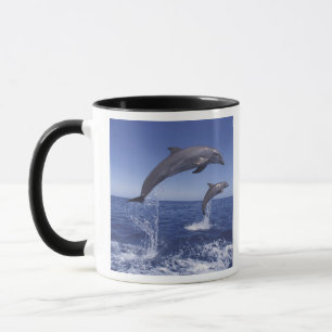 Caribbean, Bottlenose dolphins Mug