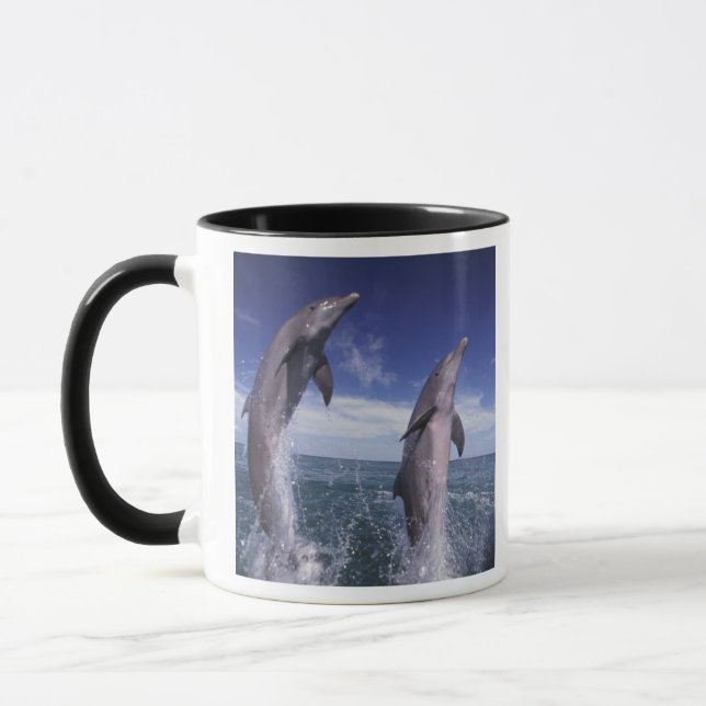 Caribbean, Bottlenose dolphins Tursiops Mug (Left)