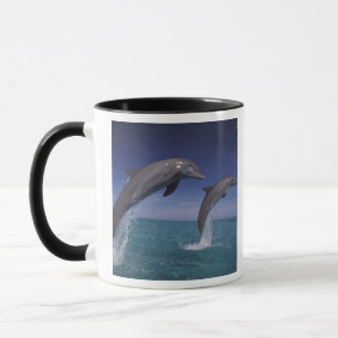 Caribbean, Bottlenose dolphins Tursiops Mug