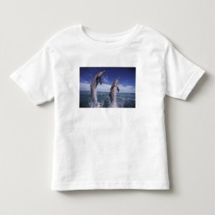 Caribbean, Bottlenose dolphins Tursiops Toddler T-Shirt