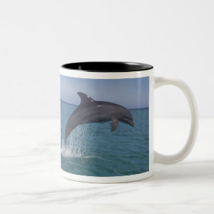 Caribbean, Bottlenose dolphins Two-Tone Coffee Mug