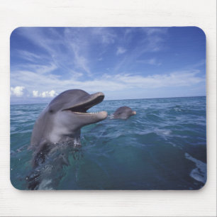 Caribbean, Bottlenose Mouse Pad