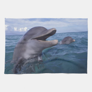Caribbean, Bottlenose Tea Towel