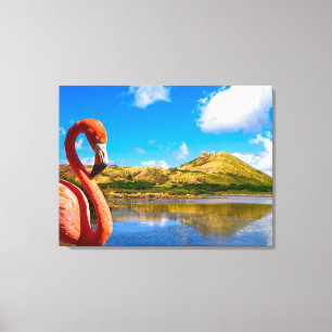 Caribbean flamingo in St kitts canvas Print