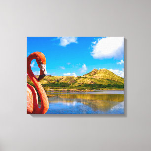 Caribbean flamingo in St kitts canvas Print