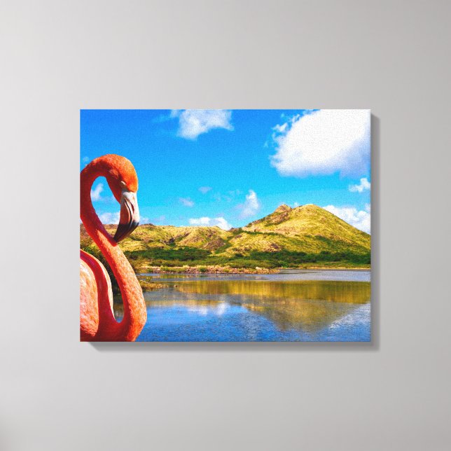 Caribbean flamingo in St kitts canvas Print (Front)