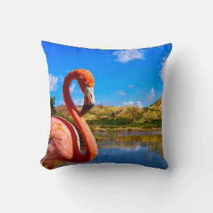 Caribbean flamingo in St kitts Cushion