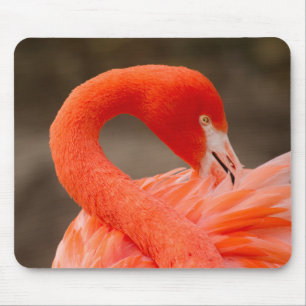 Caribbean flamingo mouse pad