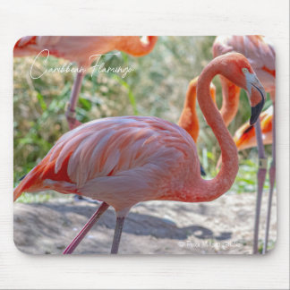 Caribbean Flamingo Mouse Pad