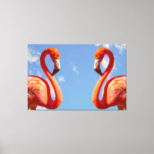Caribbean flamingo pair canvas print
