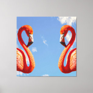 Caribbean flamingo pair canvas print