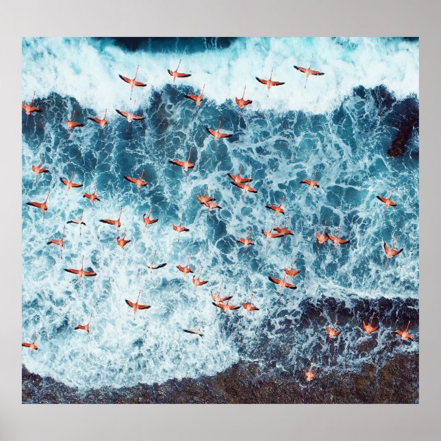 Caribbean Flamingos: Nature's Flight Scene Poster (Front)