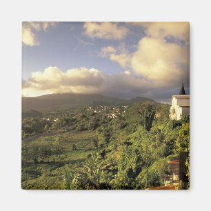 Caribbean, French West Indies, Martinique. Magnet