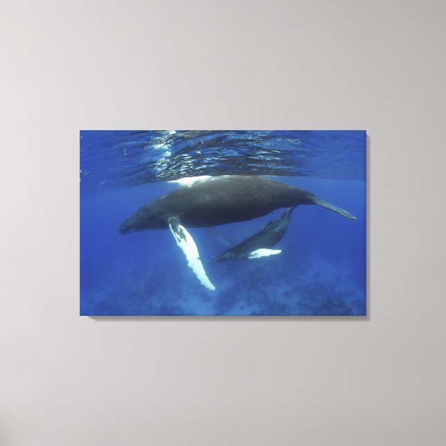 Caribbean, Greater Antilles archipelago, Canvas Print (Front)