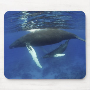 Caribbean, Greater Antilles archipelago, Mouse Pad