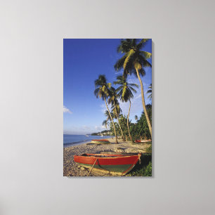 CARIBBEAN, Grenada, St. George, Boats on palm Canvas Print