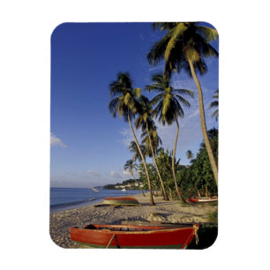 CARIBBEAN, Grenada, St. George, Boats on palm Magnet