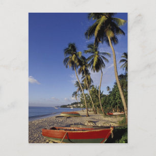 CARIBBEAN, Grenada, St. George, Boats on palm Postcard