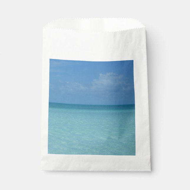 Caribbean Horizon Tropical Turquoise Blue Favour Bags (Front)
