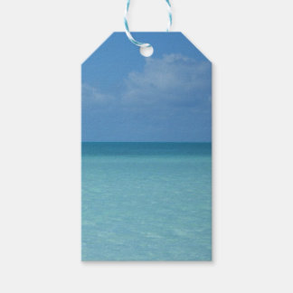 Caribbean Horizon Tropical Turquoise Blue Gift Tags