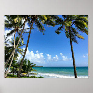 Caribbean Island, Martinique Poster