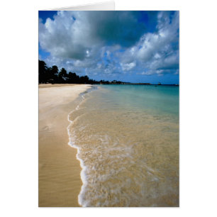 Caribbean, Leeward Islands, Antigua, Dickenson
