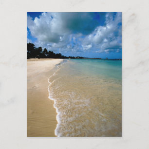 Caribbean, Leeward Islands, Antigua, Dickenson Postcard