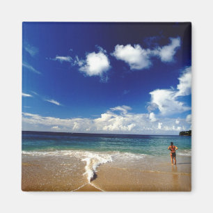 Caribbean, Lesser Antilles, West Indies, 2 Magnet