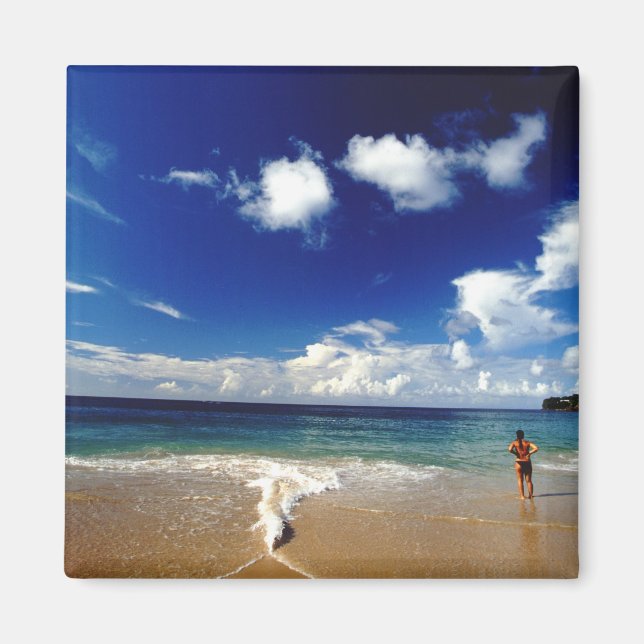Caribbean, Lesser Antilles, West Indies, 2 Magnet (Front)