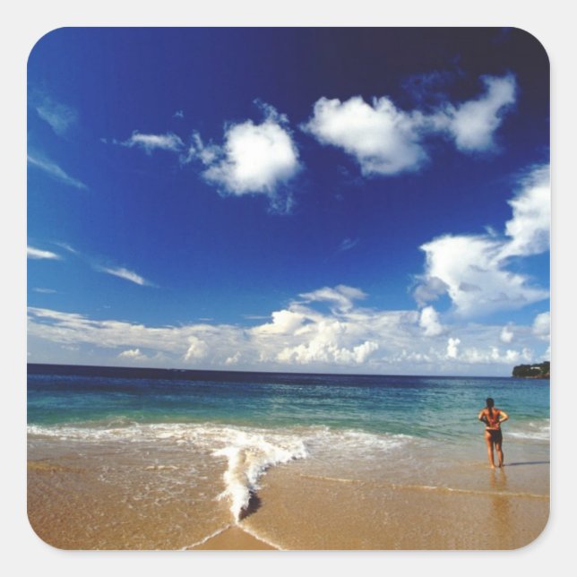 Caribbean, Lesser Antilles, West Indies, 2 Square Sticker (Front)