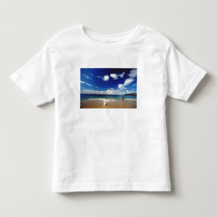 Caribbean, Lesser Antilles, West Indies, 2 Toddler T-Shirt