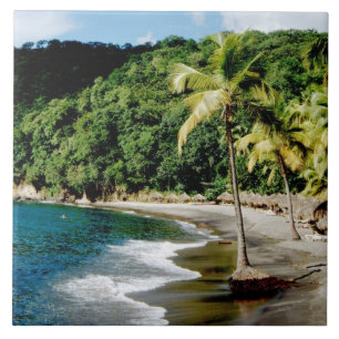 Caribbean, Lesser Antilles, West Indies, Saint Tile