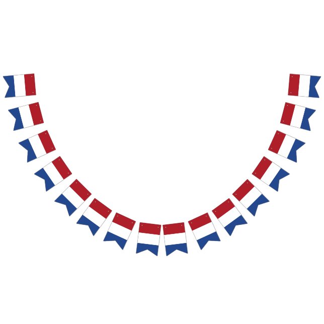 Caribbean Netherlands flag bunting banner (All)