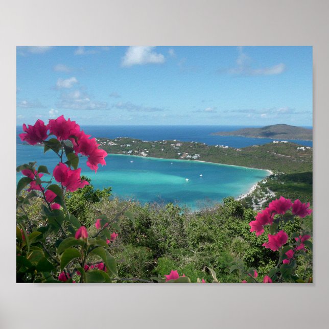 Caribbean Paradise Tropical Beach Photo Poster (Front)