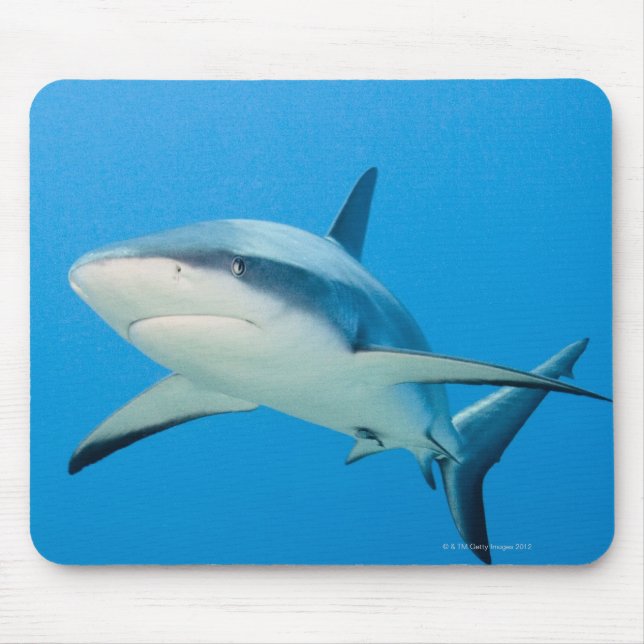 Caribbean reef shark (Carcharhinus perezi) Mouse Pad (Front)