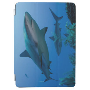 Caribbean Reef Shark Jardines de la Reina iPad Air Cover