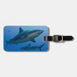 Caribbean Reef Shark Jardines de la Reina Luggage Tag