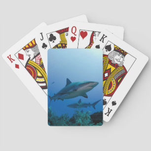 Caribbean Reef Shark Jardines de la Reina Playing Cards