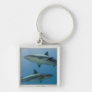 Caribbean Reef Shark Key Ring