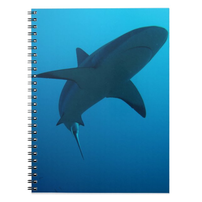 Caribbean Reef Shark Notebook (Front)
