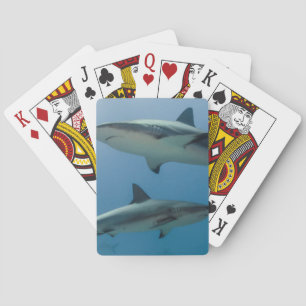 Caribbean Reef Shark Playing Cards
