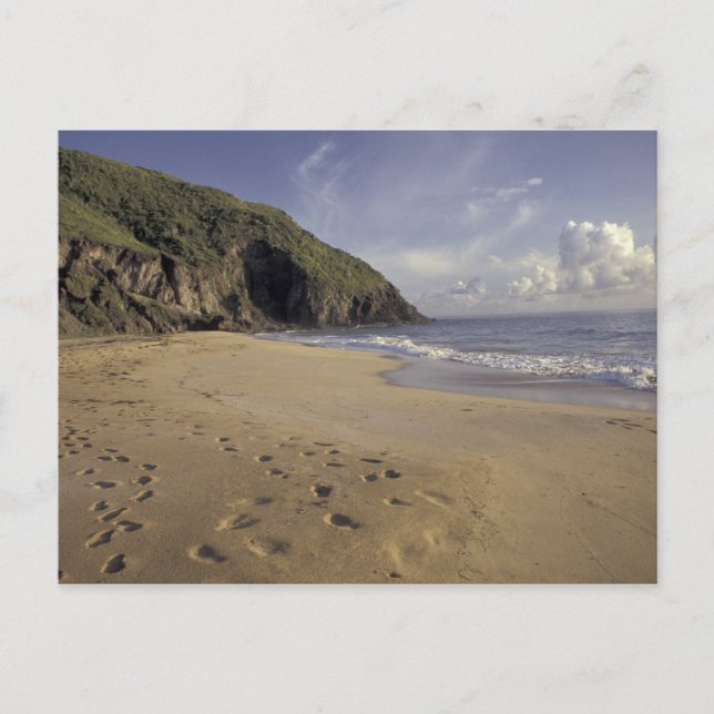 Caribbean, St. Kitts. Footprints on Atlantic Postcard (Front)