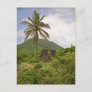 Caribbean Sugar Ruins Island Palm Tree Scene Postcard