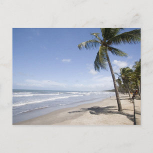 Caribbean - Trinidad - Manzanilla Beach on 2 Postcard
