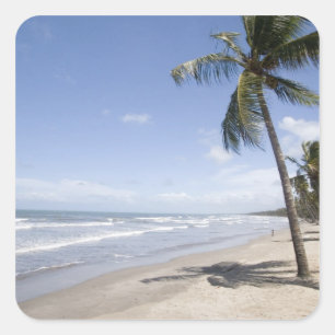 Caribbean - Trinidad - Manzanilla Beach on 2 Square Sticker