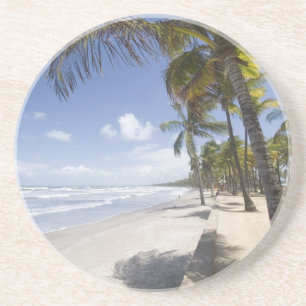 Caribbean - Trinidad - Manzanilla Beach on Coaster