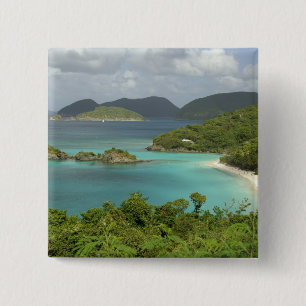 Caribbean, U.S. Virgin Islands, St. John, Trunk 15 Cm Square Badge