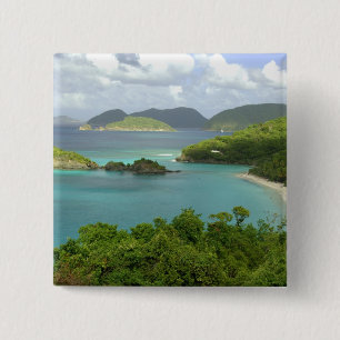 Caribbean, U.S. Virgin Islands, St. John, Trunk 2 15 Cm Square Badge