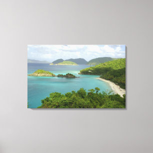 Caribbean, U.S. Virgin Islands, St. John, Trunk 2 Canvas Print